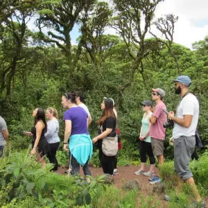 Explore Quito & Galapagos Adventure Tour (7 Days) for 7 days with Cami Adventures and discover unforgettable experiences - Photo 4