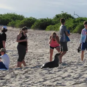 Explore Explore Quito and Galapagos (8 Days) for 8 days with Cami Adventures and discover unforgettable experiences - Photo 5