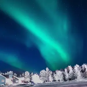 Explore Lapland Winter Adventure for 6 days with Carisa Travel Group and discover unforgettable experiences - Photo 2