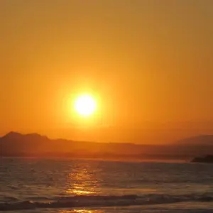 Explore Galapagos Harmony (7 Days) for 7 days with Cami Adventures and discover unforgettable experiences - Photo 6