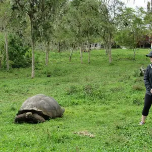 Explore Quito & Galapagos Adventure Tour (7 Days) for 7 days with Cami Adventures and discover unforgettable experiences - Photo 5