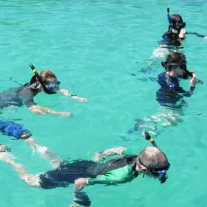 Explore Galapagos an enchanted Archipielago (8 days) for 8 days with Cami Adventures and discover unforgettable experiences - Photo 8