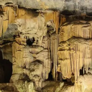 Explore 2 Day Wildlife Safari Tour (Return) for 2 days with Cape Xtreme and discover unforgettable experiences - Photo 2