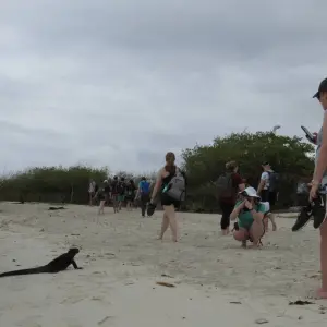 Explore Quito & Galapagos Adventure Tour (7 Days) for 7 days with Cami Adventures and discover unforgettable experiences - Photo 6