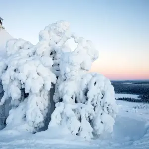 Explore Helsinki to Kirkenes - Beyond the Arctic Circle for 9 days with Carisa Travel Group and discover unforgettable experiences - Photo 3