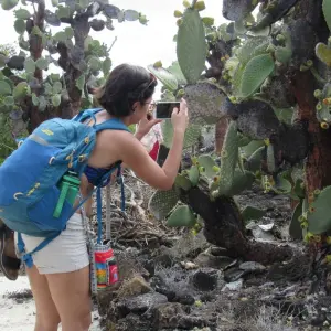 Explore Galapagos Scuba Dive - 6 Days for 6 days with Cami Adventures and discover unforgettable experiences - Photo 8