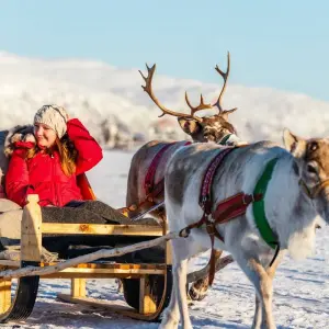 Explore Helsinki to Kirkenes - Beyond the Arctic Circle for 9 days with Carisa Travel Group and discover unforgettable experiences - Photo 4