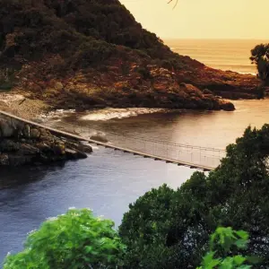 Explore 4 Day Cape to Addo Safari Tour (Return) for 4 days with Cape Xtreme and discover unforgettable experiences - Photo 3