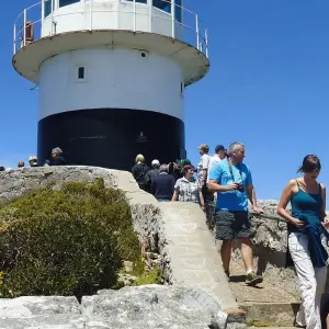 Explore 3 Day Cape Point & Wildlife Safari Tour (Return) for 3 days with Cape Xtreme and discover unforgettable experiences - Photo 6