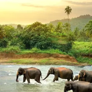 Explore Best Touch Of Sri Lanka for 10 days with Capital Lanka Tours and discover unforgettable experiences - Photo 4