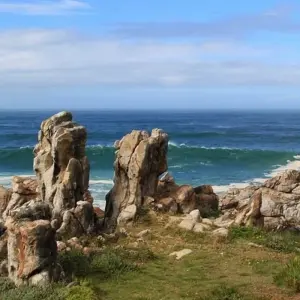 Explore 5 Day Cape to Addo Safari Tour  (Return) for 5 days with Cape Xtreme and discover unforgettable experiences - Photo 9