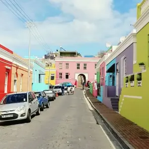 Explore 3 Day Cape Point & Wildlife Safari Tour (Return) for 3 days with Cape Xtreme and discover unforgettable experiences - Photo 11