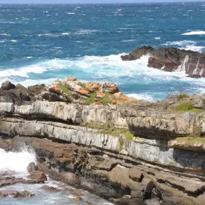Explore 8 Days Cape Town, Garden Route & Addo Package for 8 days with Cape Xtreme and discover unforgettable experiences - Photo 11