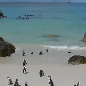 Explore 11 Days Cape Town, Garden Route & Kruger Package for 11 days with Cape Xtreme and discover unforgettable experiences - Photo 11