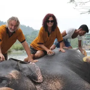 Explore Honeymoon In Sri Lanka for 12 days with Capital Lanka Tours and discover unforgettable experiences - Photo 2