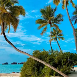 Explore Lifetime Experience In Maldives for 8 days with Capital Lanka Tours and discover unforgettable experiences - Photo 8