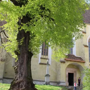 Explore Fully Guided Roundtrip Romania from Airport Bucharest for 8 days with Carpathian Travel Center and discover unforgettable experiences - Photo 3