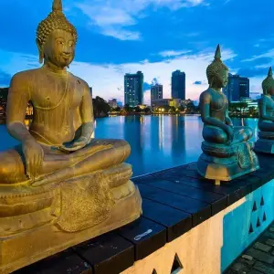 Explore Sri Lanka Unveils for 6 days with Capital Lanka Tours and discover unforgettable experiences - Photo 11