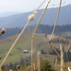 Explore Transylvania by bike for 8 days with Carpathian Travel Center and discover unforgettable experiences - Photo 3