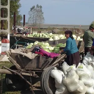 Explore Transylvania by bike for 8 days with Carpathian Travel Center and discover unforgettable experiences - Photo 4