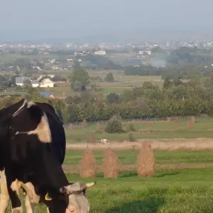 Explore Transylvania by bike for 8 days with Carpathian Travel Center and discover unforgettable experiences - Photo 5