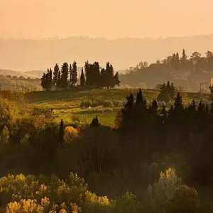 Explore 8-day Best of Italy: Rome, Florence & Venice for 8 days with Carrani Tours and discover unforgettable experiences - Photo 6