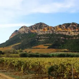 Explore Corsica Grand Tour - Walking & Hiking for 11 days with Caspin Journeys and discover unforgettable experiences - Photo 5