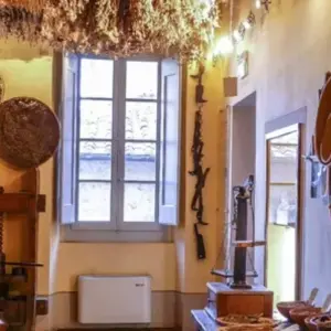 Explore Tuscany Cooking & Yoga Tour for 7 days with Caspin Journeys and discover unforgettable experiences - Photo 6