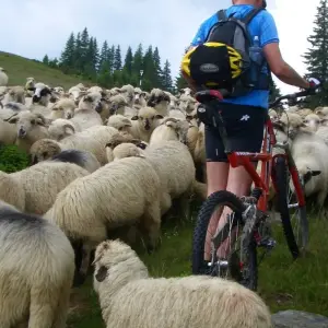 Explore Transylvania by bike for 8 days with Carpathian Travel Center and discover unforgettable experiences - Photo 10