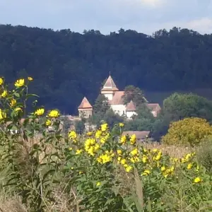 Explore Transylvania by bike for 8 days with Carpathian Travel Center and discover unforgettable experiences - Photo 11