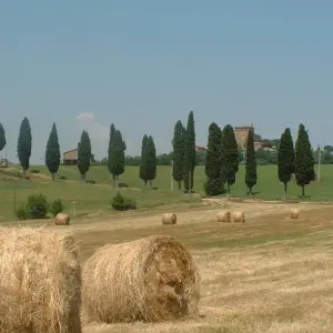 Explore Tuscany Walking & Hiking Tour for 8 days with Caspin Journeys and discover unforgettable experiences - Photo 3