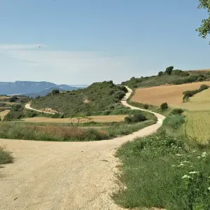 Explore Camino de Santiago for 13 days with Caspin Journeys and discover unforgettable experiences - Photo 6