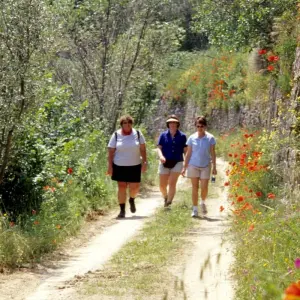 Explore Tuscany Walking & Hiking Tour for 8 days with Caspin Journeys and discover unforgettable experiences - Photo 6
