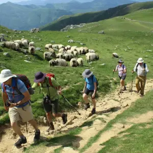 Explore Camino de Santiago for 13 days with Caspin Journeys and discover unforgettable experiences - Photo 8