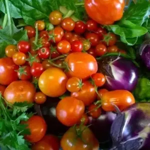 Explore Tuscany Gourmet Cooking Tour for 7 days with Caspin Journeys and discover unforgettable experiences - Photo 8