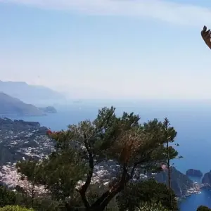 Explore Amalfi Coast Walking & Hiking Tour for 8 days with Caspin Journeys and discover unforgettable experiences - Photo 11