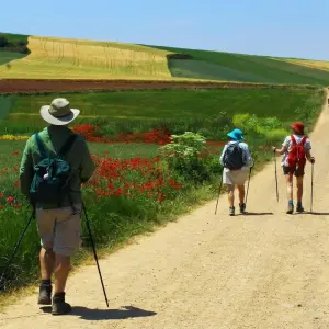 Explore Camino de Santiago for 13 days with Caspin Journeys and discover unforgettable experiences - Photo 9