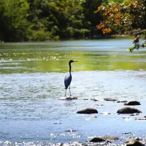 Explore Family Adventure Package for 8 days with Central American Tours and discover unforgettable experiences - Photo 3