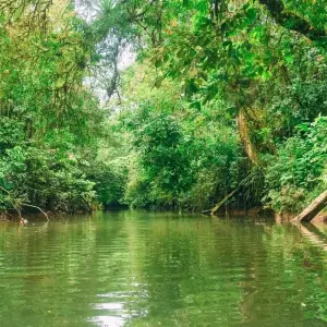 Explore Family Adventure Package for 8 days with Central American Tours and discover unforgettable experiences - Photo 4
