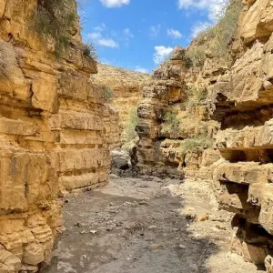 Explore Hiking Tour Armenia for 10 days with Cascade Travel and discover unforgettable experiences - Photo 6