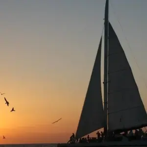 Explore Rainy & Sunny Side Package for 8 days with Central American Tours and discover unforgettable experiences - Photo 3