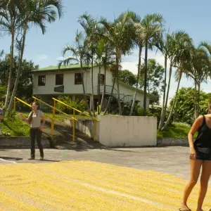 Explore San José 360º Package for 6 days with Central American Tours and discover unforgettable experiences - Photo 4