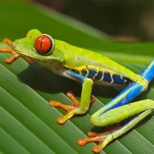 Explore Family Adventure Package for 8 days with Central American Tours and discover unforgettable experiences - Photo 6