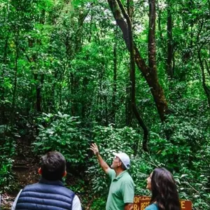Explore Volcano Nap Package for 8 days with Central American Tours and discover unforgettable experiences - Photo 5