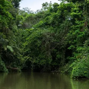 Explore Costa Rica at its Best Package for 11 days with Central American Tours and discover unforgettable experiences - Photo 8