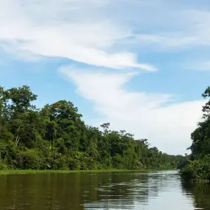 Explore Costa Rica at its Best Package for 11 days with Central American Tours and discover unforgettable experiences - Photo 11