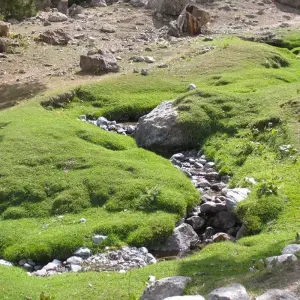 Explore SILK ROAD ADVENTURE: FANN MOUNTAINS & BEST OF UZBEKISTAN for 12 days with Central Asia Travel LP  and discover unforgettable experiences - Photo 4