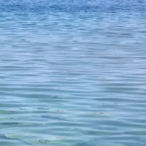 Explore In-depth of Central Asia: Kyrgyzstan, Uzbekistan, Tajikistan for 15 days with Central Asia Travel LP  and discover unforgettable experiences - Photo 7