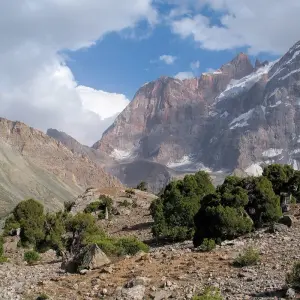 Explore SILK ROAD ADVENTURE: FANN MOUNTAINS & BEST OF UZBEKISTAN for 14 days with Central Asia Travel LP  and discover unforgettable experiences - Photo 4