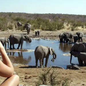 Explore 3 Day Etosha Express Accommodated Safari for 3 days with Chameleon Safaris Namibia and discover unforgettable experiences - Photo 3